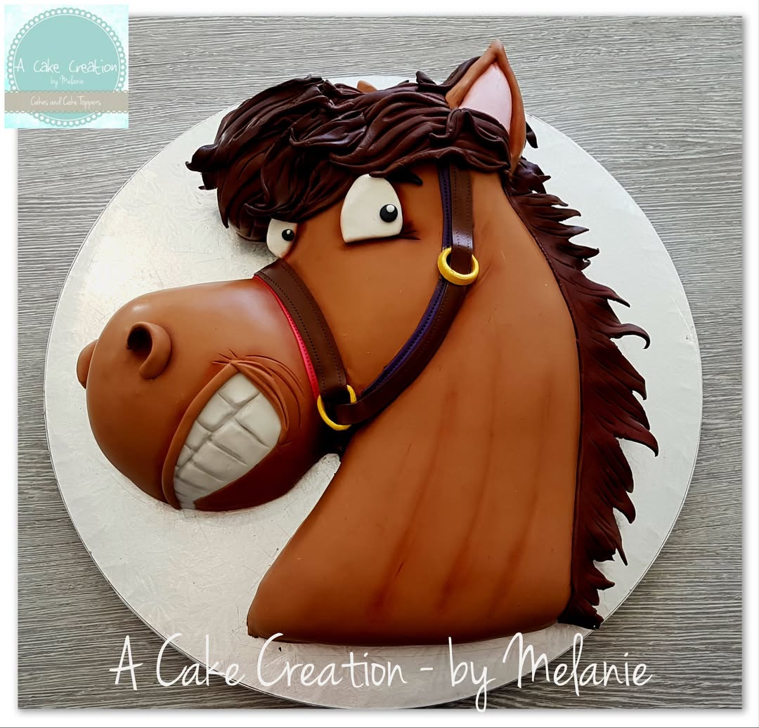 Novelty Cake