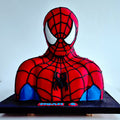 Novelty Cake