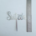 Silver Acrylic Sixteen Cake Topper
